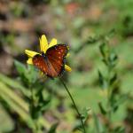 MysteryCruise_0053 (September 06, 2013)